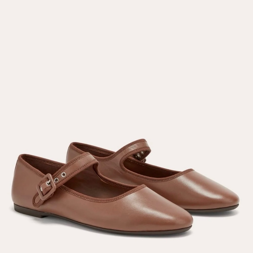 Everlane The Day Buckle Mary Jane